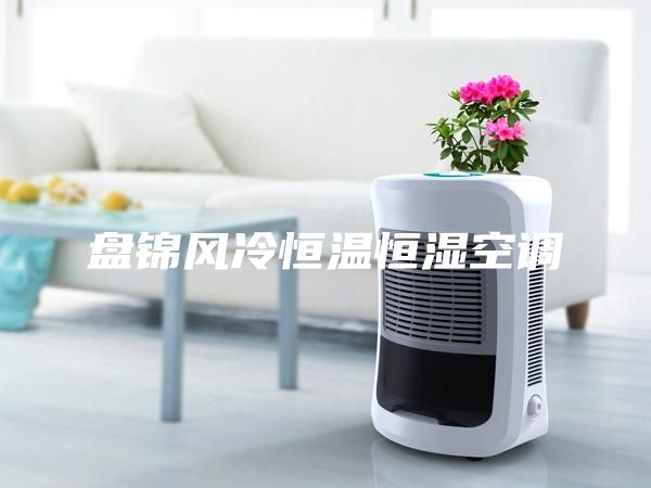 盘锦风冷恒温恒湿空调