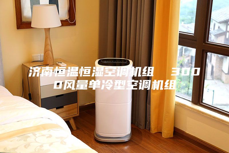 济南恒温恒湿空调机组  3000风量单冷型空调机组