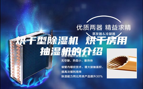 烘干型除湿机 烘干房用抽湿机的介绍