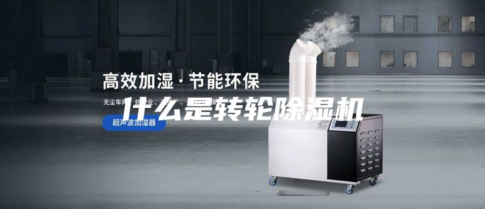 什么是转轮除湿机