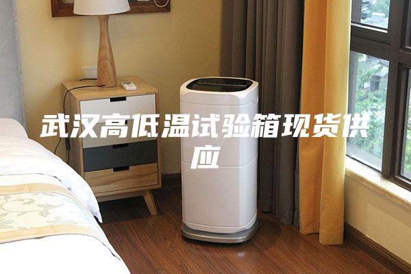 武汉高低温试验箱现货供应