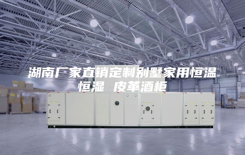湖南厂家直销定制别墅家用恒温恒湿 皮革酒柜