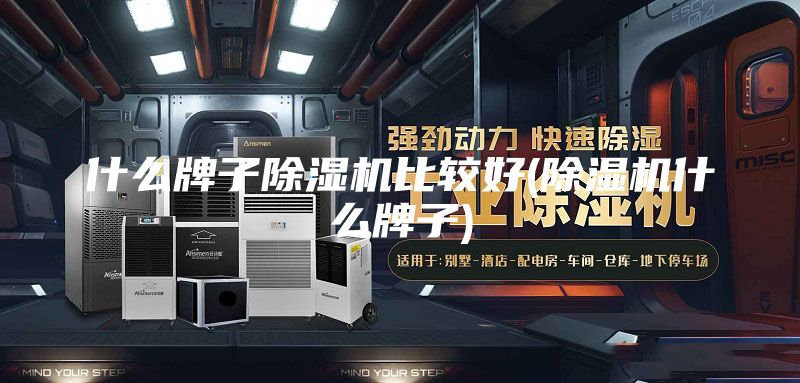 什么牌子除湿机比较好(除湿机什么牌子)