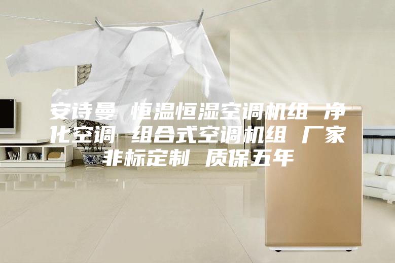 安诗曼 恒温恒湿空调机组 净化空调 组合式空调机组 厂家非标定制 质保五年