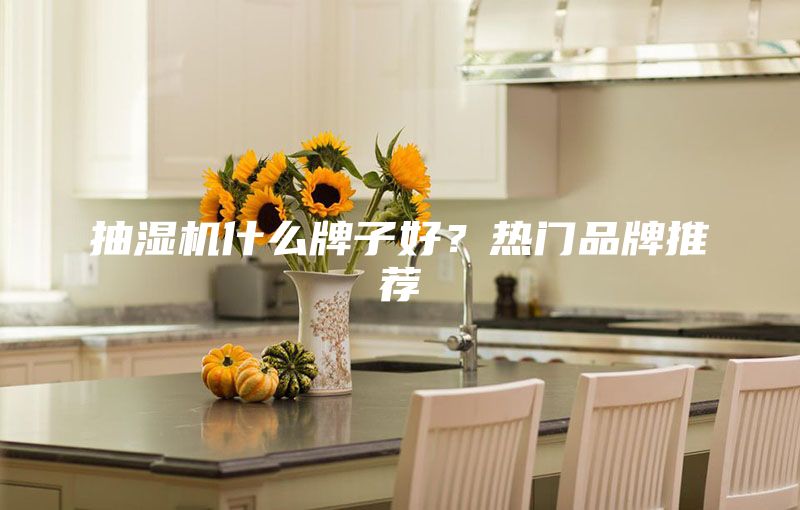 抽湿机什么牌子好？热门品牌推荐