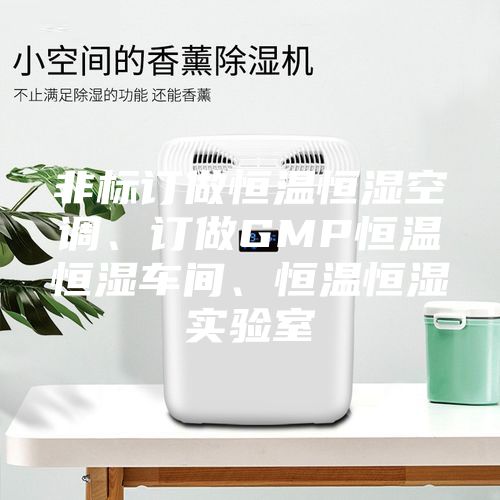 非标订做恒温恒湿空调、订做GMP恒温恒湿车间、恒温恒湿实验室