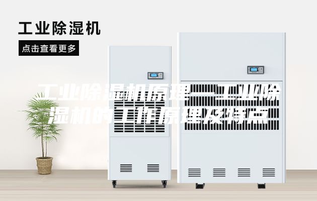 工业除湿机原理—工业除湿机的工作原理及特点