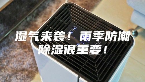 湿气来袭！雨季防潮除湿很重要！