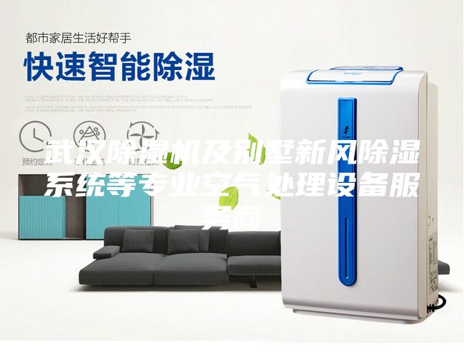 武汉除湿机及别墅新风除湿系统等专业空气处理设备服务商