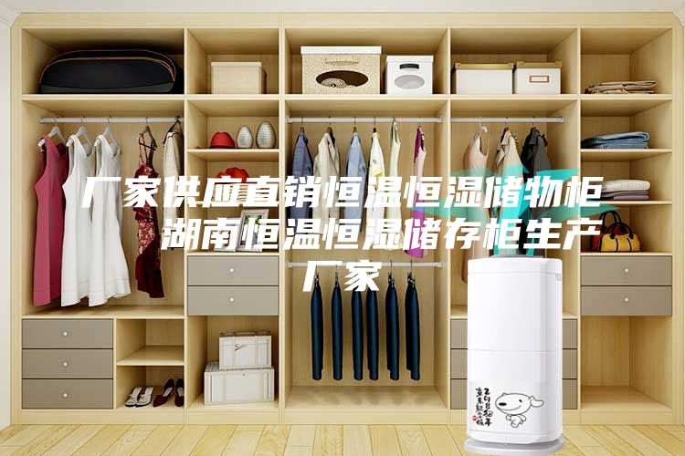 厂家供应直销恒温恒湿储物柜   湖南恒温恒湿储存柜生产厂家