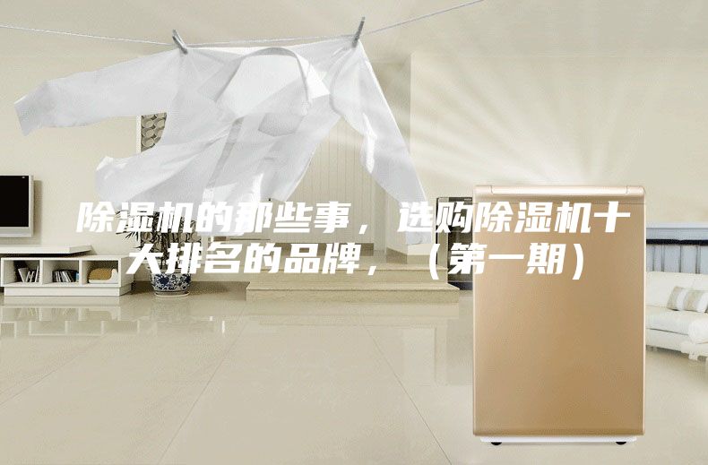 除湿机的那些事，选购除湿机十大排名的品牌，（第一期）