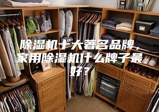 除湿机十大著名品牌，家用除湿机什么牌子最好？