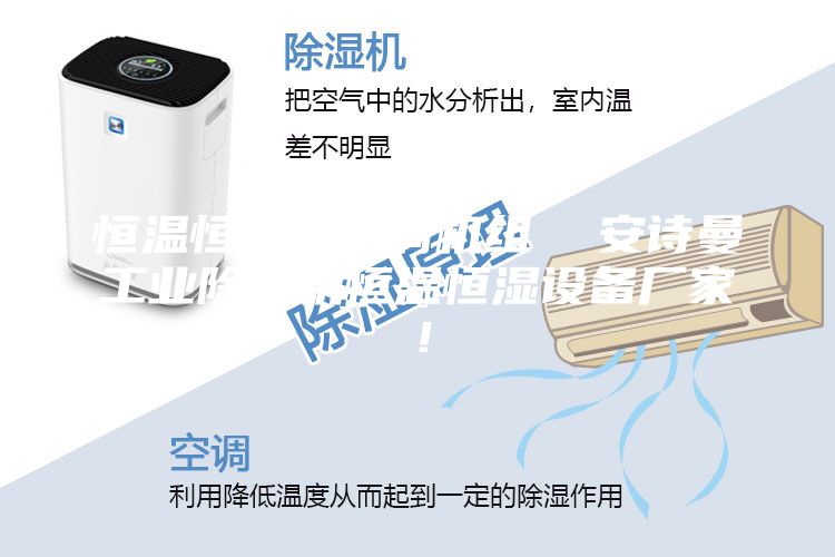恒温恒湿机空调机组  安诗曼工业除湿机恒温恒湿设备厂家！