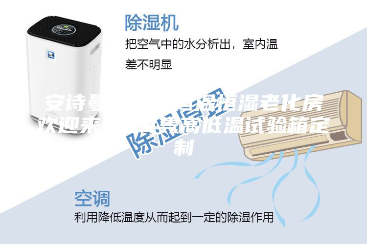 安诗曼步入式恒温恒湿老化房欢迎来电 茸隽高低温试验箱定制