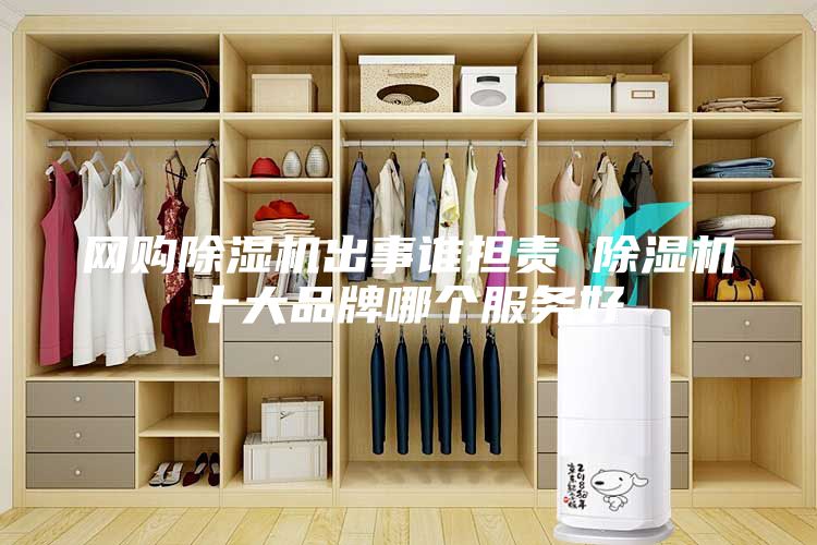 网购除湿机出事谁担责 除湿机十大品牌哪个服务好
