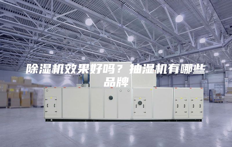 除湿机效果好吗？抽湿机有哪些品牌