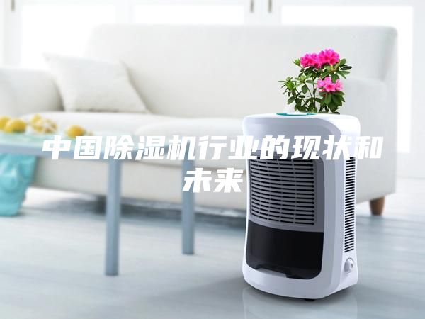 中国除湿机行业的现状和未来