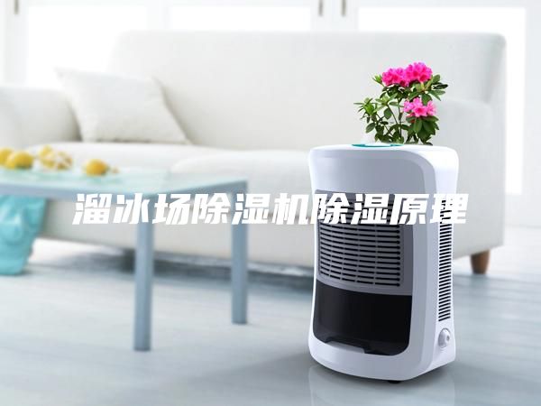 溜冰场除湿机除湿原理