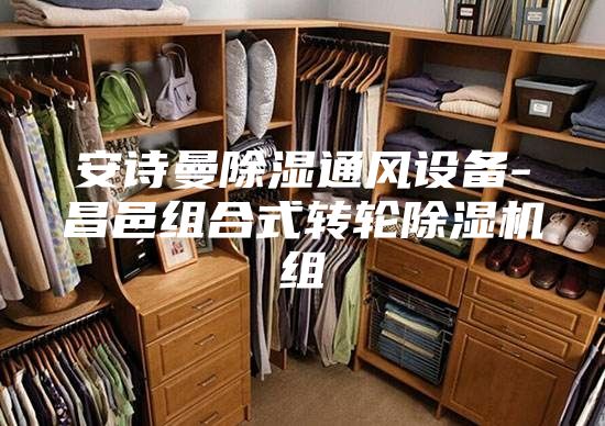 安诗曼除湿通风设备-昌邑组合式转轮除湿机组