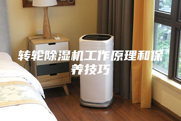 转轮除湿机工作原理和保养技巧