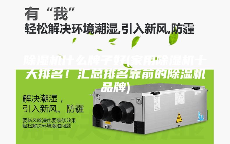 除湿机什么牌子好(家用除湿机十大排名！汇总排名靠前的除湿机品牌)