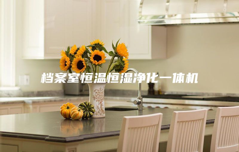 档案室恒温恒湿净化一体机