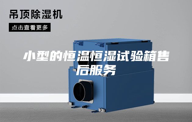小型的恒温恒湿试验箱售后服务