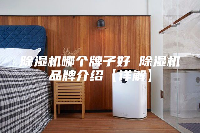 除湿机哪个牌子好 除湿机品牌介绍【详解】