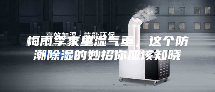 梅雨季家里湿气重，这个防潮除湿的妙招你应该知晓