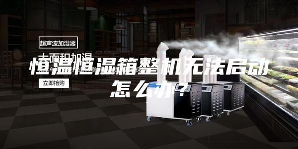恒温恒湿箱整机无法启动怎么办？