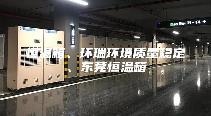 恒温箱、环瑞环境质量稳定、东莞恒温箱