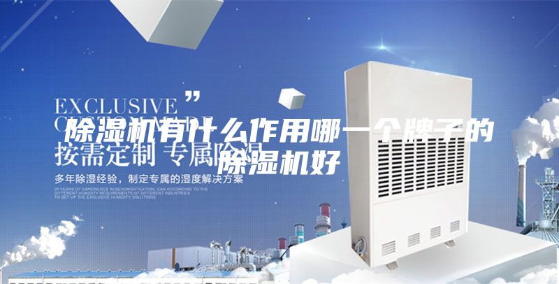 除湿机有什么作用哪一个牌子的除湿机好