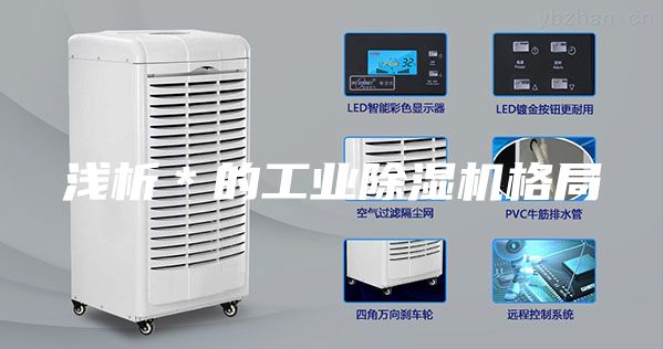 浅析＊的工业除湿机格局