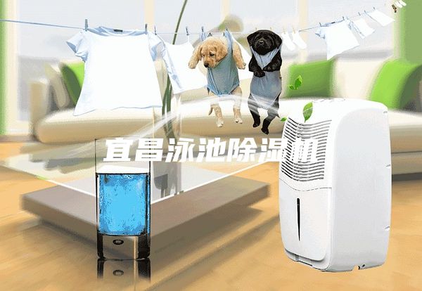宜昌泳池除湿机
