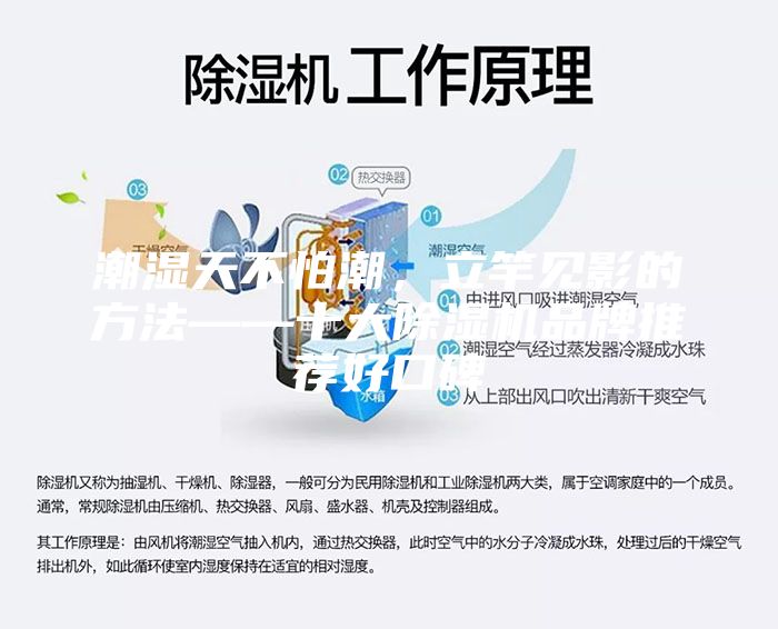 潮湿天不怕潮，立竿见影的方法——十大除湿机品牌推荐好口碑
