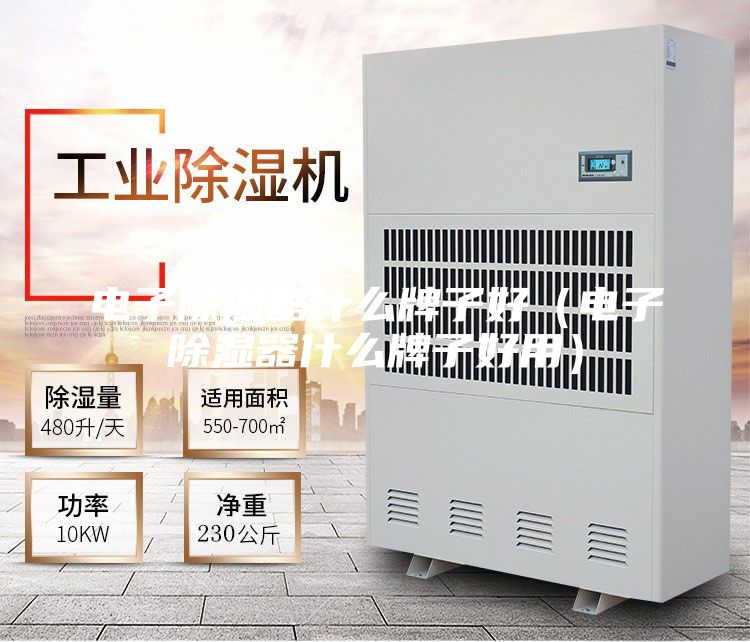 电子除湿器什么牌子好（电子除湿器什么牌子好用）