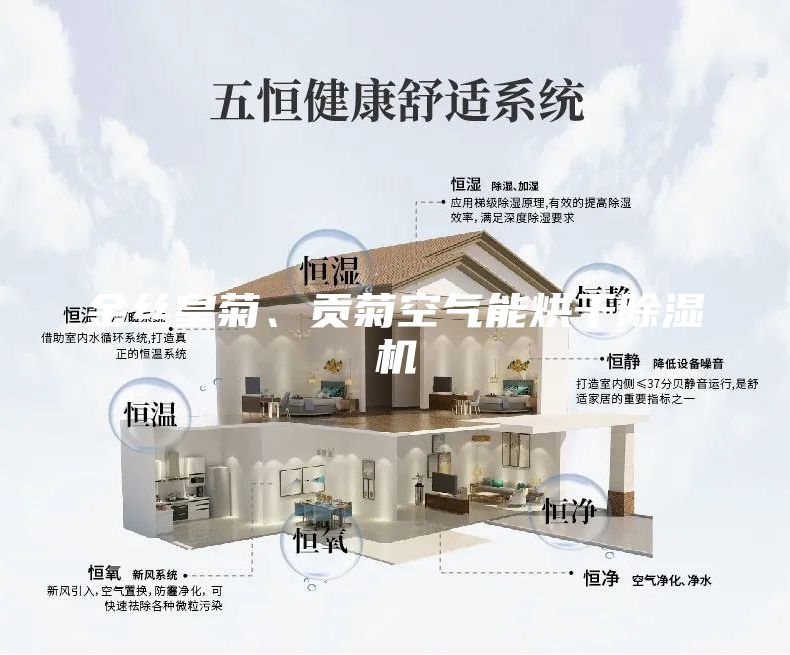 金丝皇菊、贡菊空气能烘干除湿机