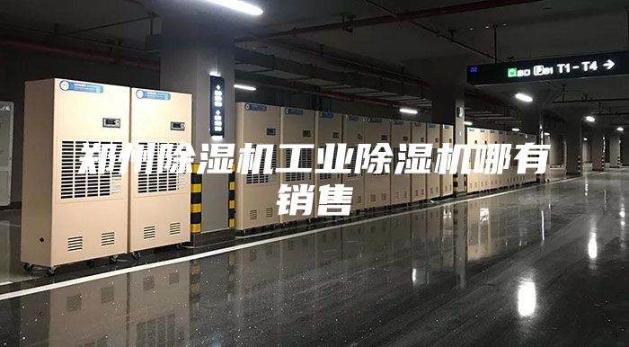 郑州除湿机工业除湿机哪有销售