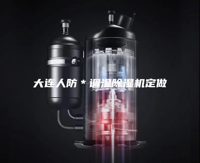 大连人防＊调温除湿机定做
