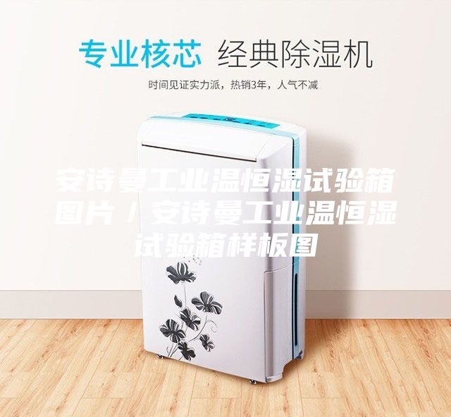 安诗曼工业温恒湿试验箱图片／安诗曼工业温恒湿试验箱样板图