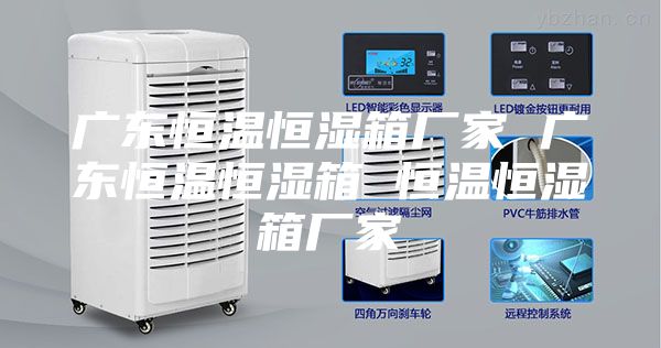 广东恒温恒湿箱厂家 广东恒温恒湿箱 恒温恒湿箱厂家