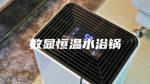 数显恒温水浴锅