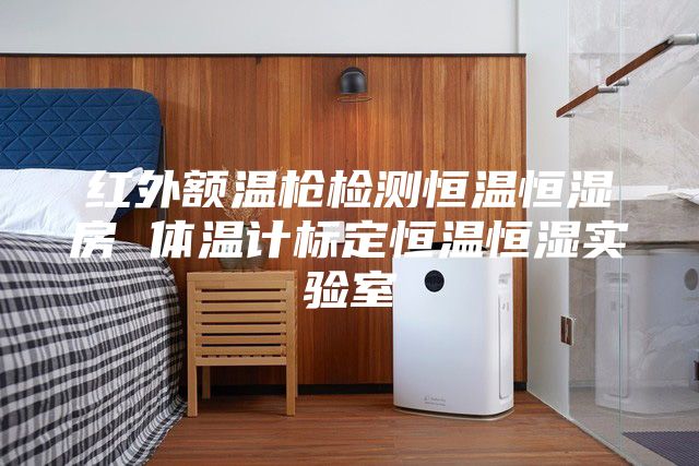 红外额温枪检测恒温恒湿房 体温计标定恒温恒湿实验室