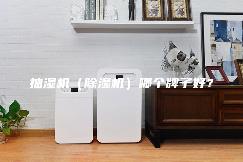 抽湿机（除湿机）哪个牌子好？