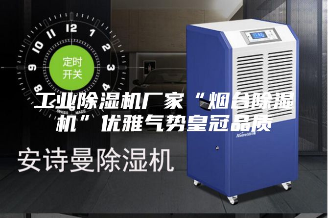 工业除湿机厂家“烟台除湿机”优雅气势皇冠品质