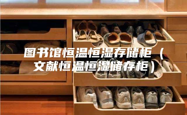 图书馆恒温恒湿存储柜（文献恒温恒湿储存柜）