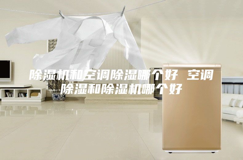 除湿机和空调除湿哪个好 空调除湿和除湿机哪个好