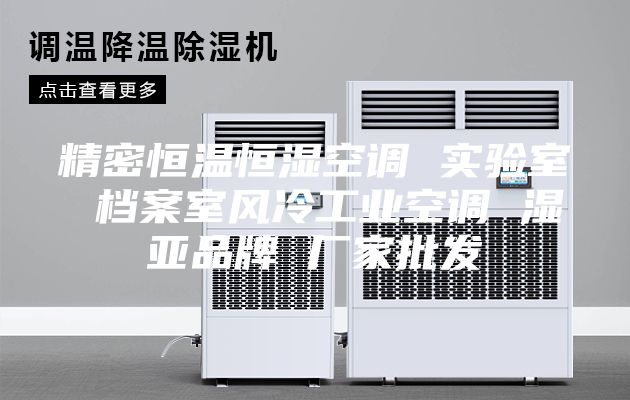精密恒温恒湿空调 实验室 档案室风冷工业空调 湿亚品牌 厂家批发