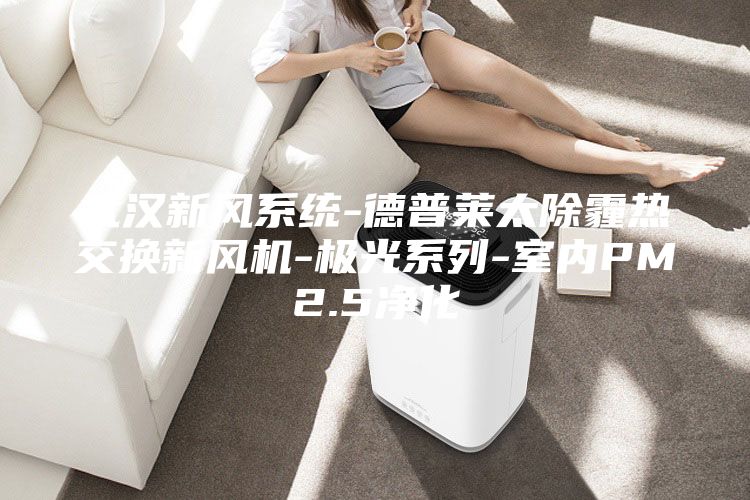 武汉新风系统-德普莱太除霾热交换新风机-极光系列-室内PM2.5净化