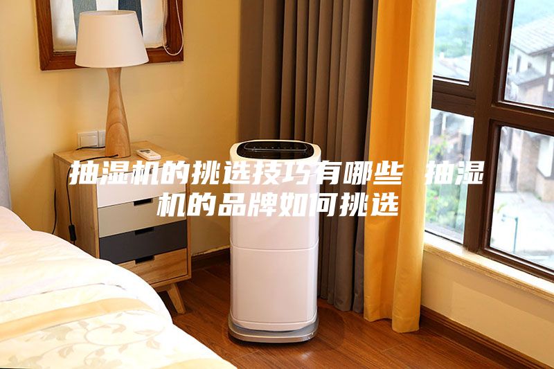 抽湿机的挑选技巧有哪些 抽湿机的品牌如何挑选